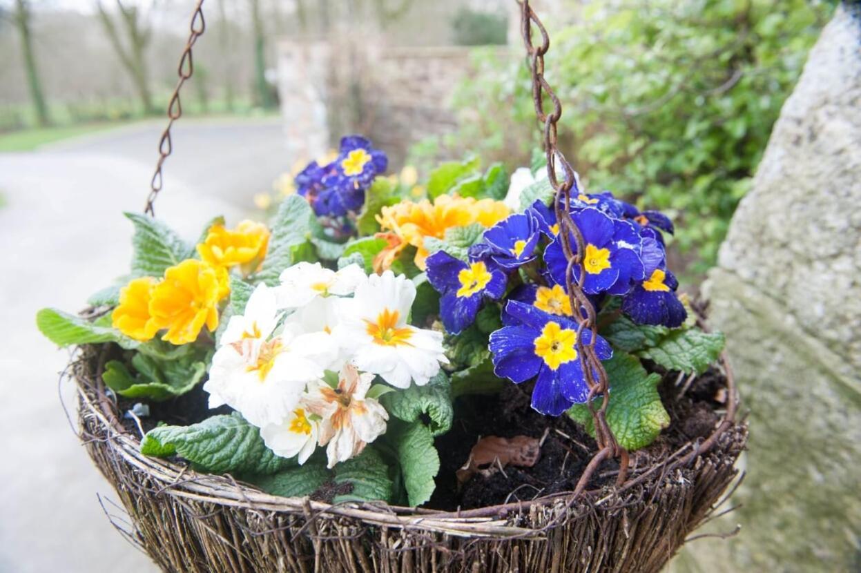 Knole Farm Bed and Breakfast Okehampton Εξωτερικό φωτογραφία